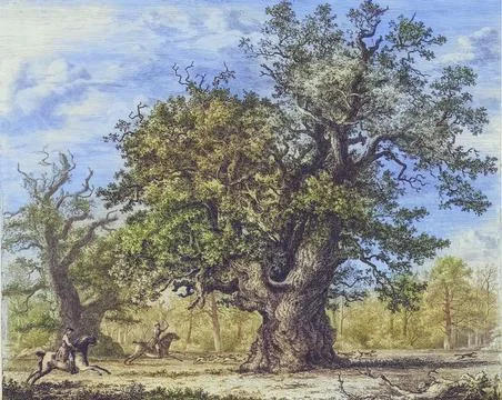 Famous old trees, Oaks of Avalon is the collective name for two ancient oaks, Stock Illustration