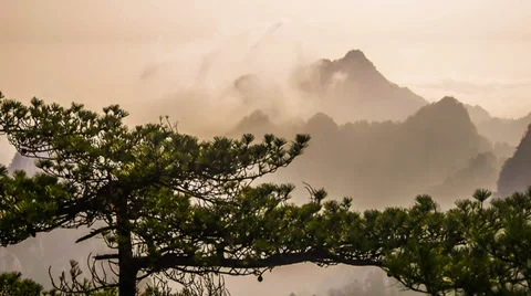The famous pines and floating clouds in Yellow mountain Stock-Footage 37853109