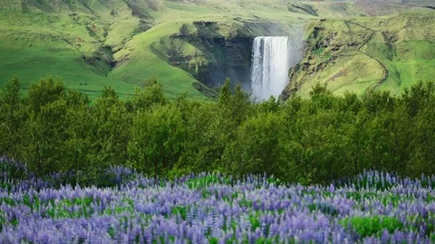 Famous Skogafoss waterfall Stock Footage 82272270