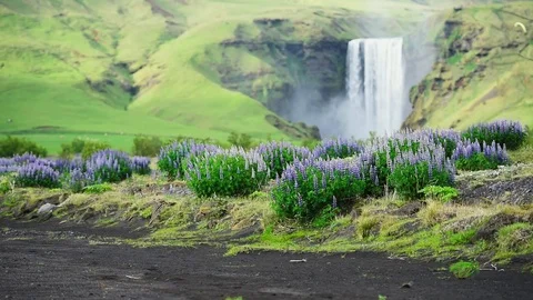 Famous Skogafoss waterfall Stock Footage 82307983