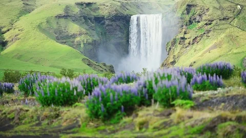 Famous Skogafoss waterfall Stock Footage 82322287