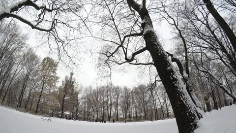 Famous State Russian Museum in Mikhailovsky Garden in St.Petersburg, Russia Stock Footage 69938183