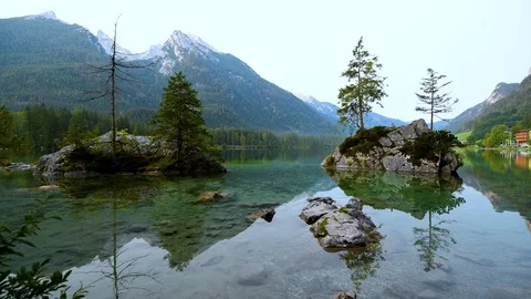 The famous trees of Hintersee 스톡 동영상 128978026