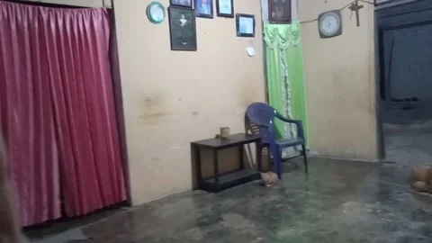 Fam's Room Corner Stockbeeldmateriaal 197539691