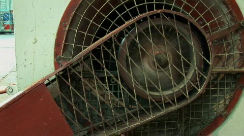 Fan 2 Stock-Footage 702588