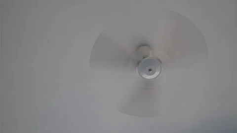 Fan 2 Stock Footage 137879410