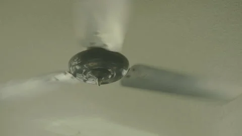 FAN 2 Stock Footage 306762256