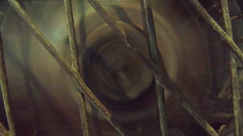 Fan 3 Stock-Footage 702605