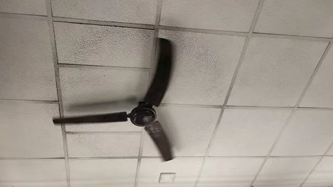 Fan Air Stock Footage 151587374