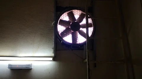 Fan at building Stock Footage 119669345