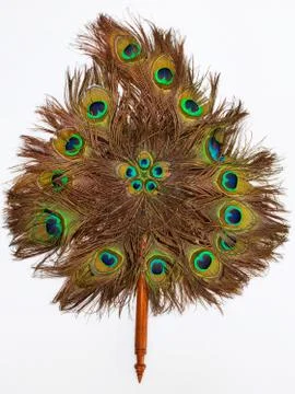 Fan feather Stock Photos
