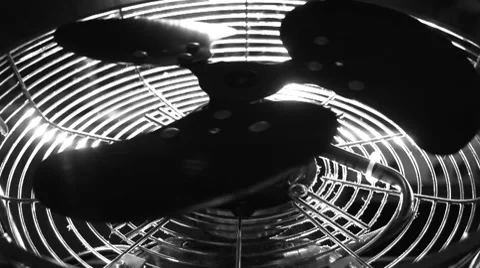 Fan 動画素材 7734942