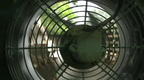 Fan Video stock 20480520