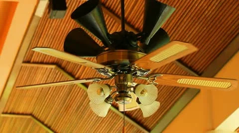 Fan Stock-Footage 22183482