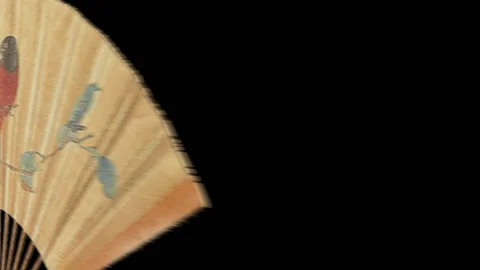 Fan Stock Footage 95677085