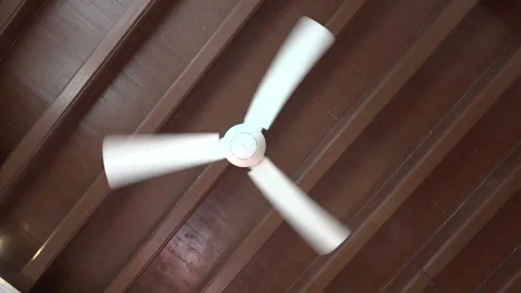 Fan Stock Footage 151027637