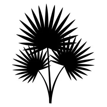 Fan Palm Cluster Silhouette Vector Botanical Icon Stock Illustration