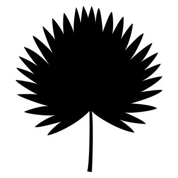 Fan Palm Leaf Silhouette Vector Icon Stock Illustration
