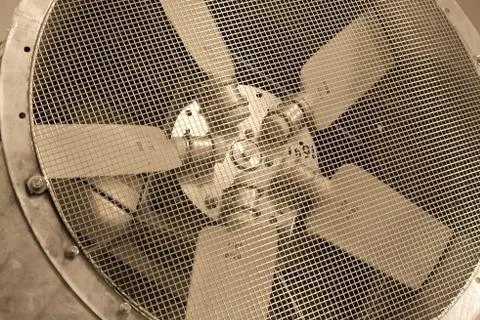 Fan Stock Photos