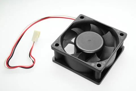 Fan Stock Photos