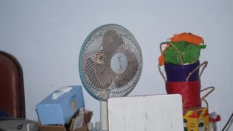 Fan Foto stock