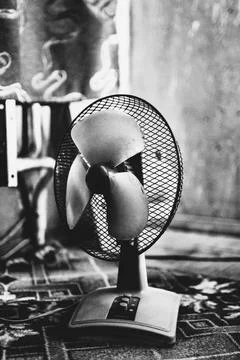 Fan Stock Photos