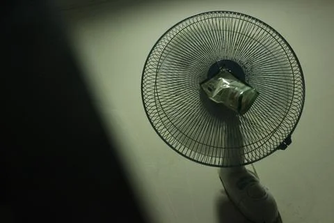 Fan Stock Photos
