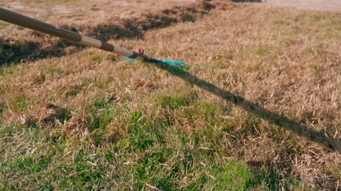 Fan rake removing dry dead grass from lawn close-up in spring 库存影片 340389077