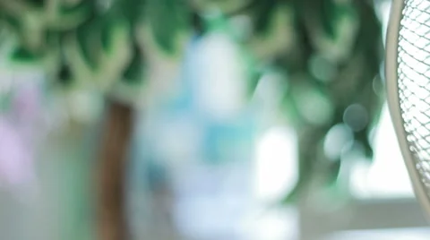 Fan in the room Stock Footage 53217119