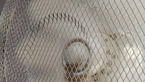 A fan Rotating From Side to Side Blows the Wind. Electric Cooling Fan.  Stock Footage 204838550