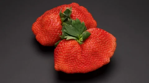 Fan-shaped strawberry Video stock 297848005