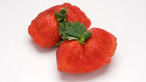 Fan-shaped strawberry Stock Footage 297848013