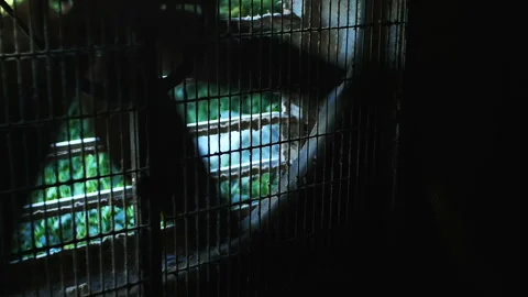 Fan is spinning Stock-Footage 93132120
