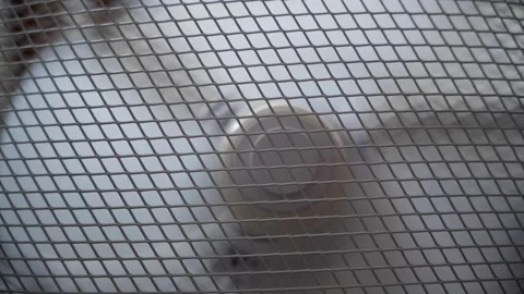 Fan spinning in slow motion Stock Footage 339959593