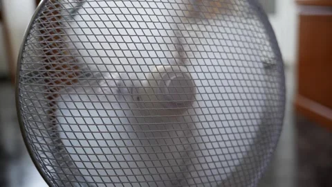Fan spinning in slow motion Stock Footage 339959617