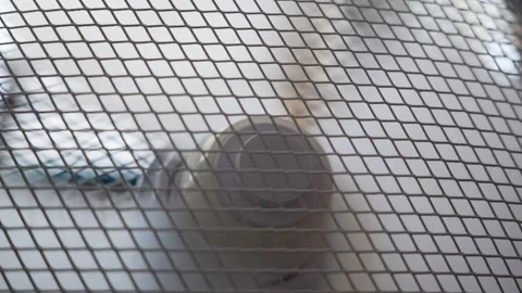Fan spinning in slow motion Stock Footage 339959628