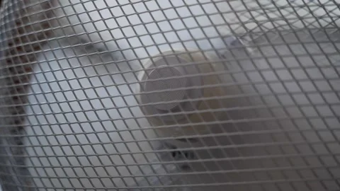Fan spinning in slow motion Stock Footage 339959629