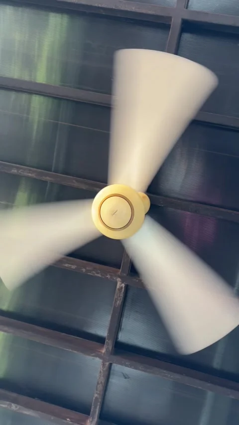 Fan taken from a lower angle or frog view. recorded vertically or 6:19 Stock Footage 322978562