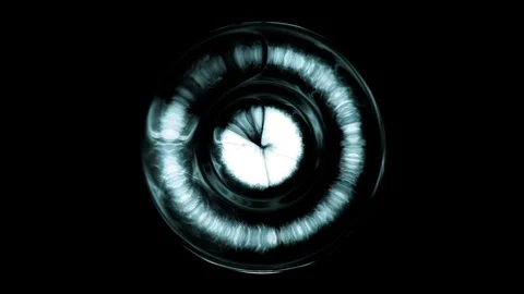 Fancy and alien eye Vidéo 89890752