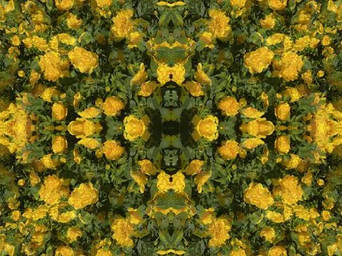 A fancy background pattern 스톡 사진