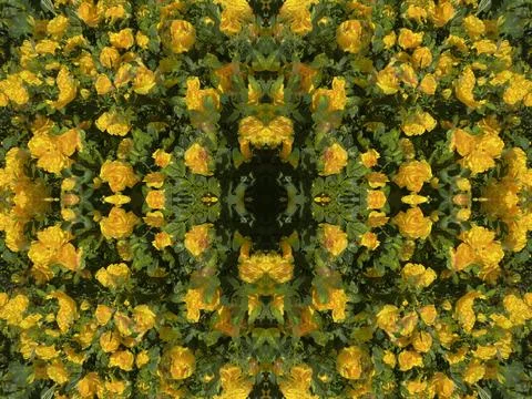A fancy background pattern 스톡 사진