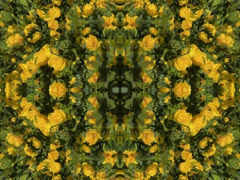 A fancy background pattern 스톡 사진