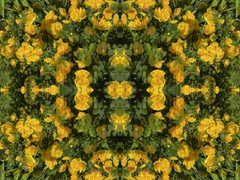 A fancy background pattern 스톡 사진