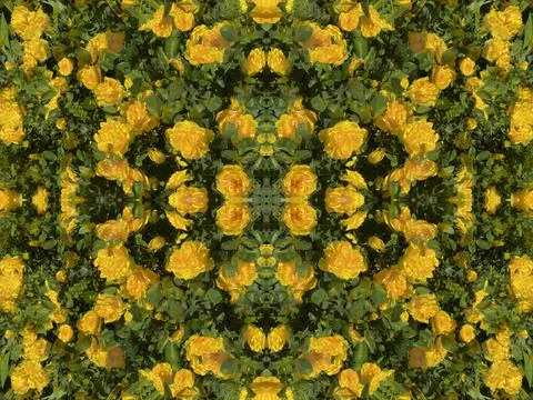 A fancy background pattern 스톡 사진