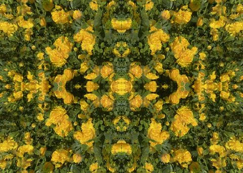 A fancy background pattern 스톡 사진