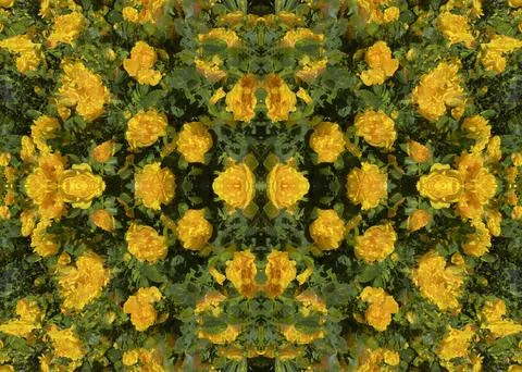A fancy background pattern 스톡 사진