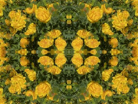 A fancy background pattern 스톡 사진