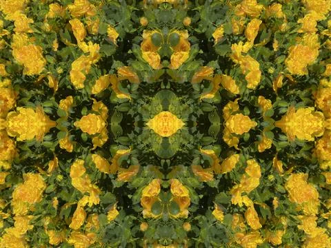 A fancy background pattern 스톡 사진