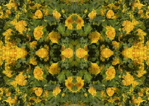 A fancy background pattern 스톡 사진
