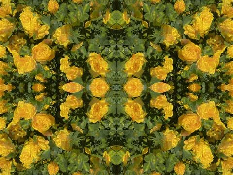 A fancy background pattern 스톡 사진